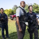 Critica Hawaii Five-0 10 temporada