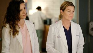 Critica Grey's Anatomy 16x15