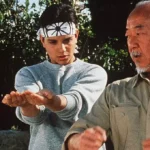 Cobra Kai fatos terríveis Karate Kid