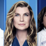 Greys Anatomy 18 temporada brasil