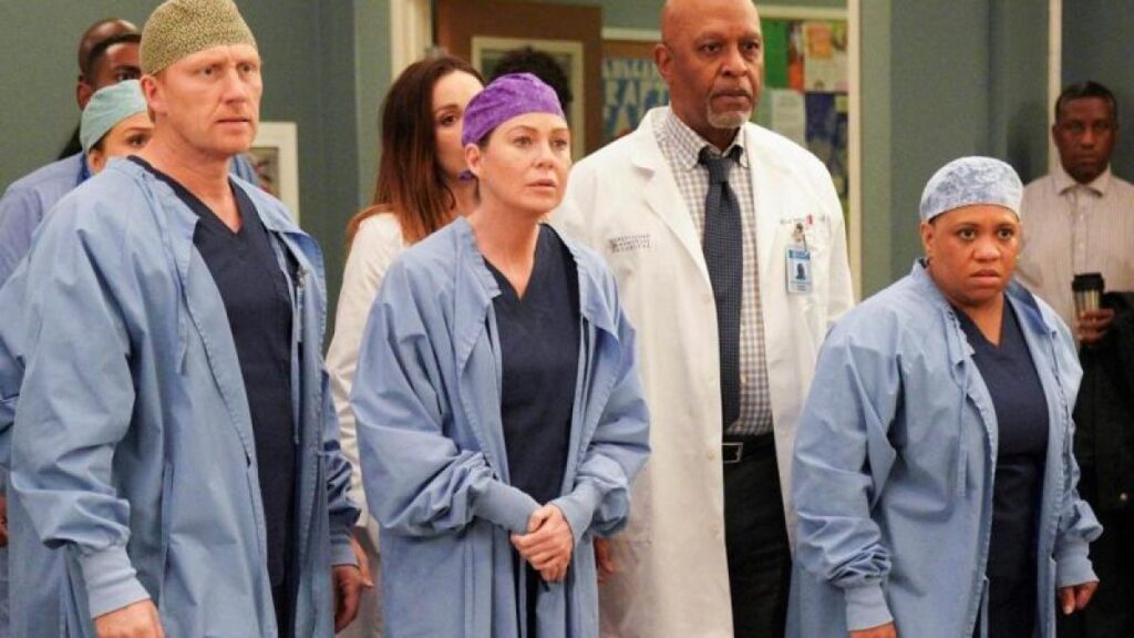 Greys Anatomy 19 temporada
