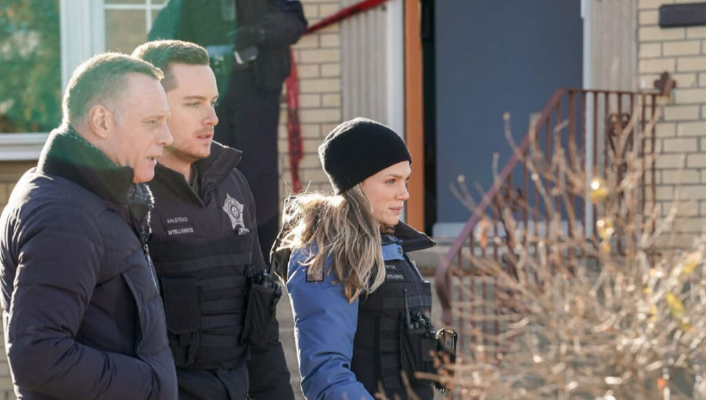 Chicago PD 9x12 serie