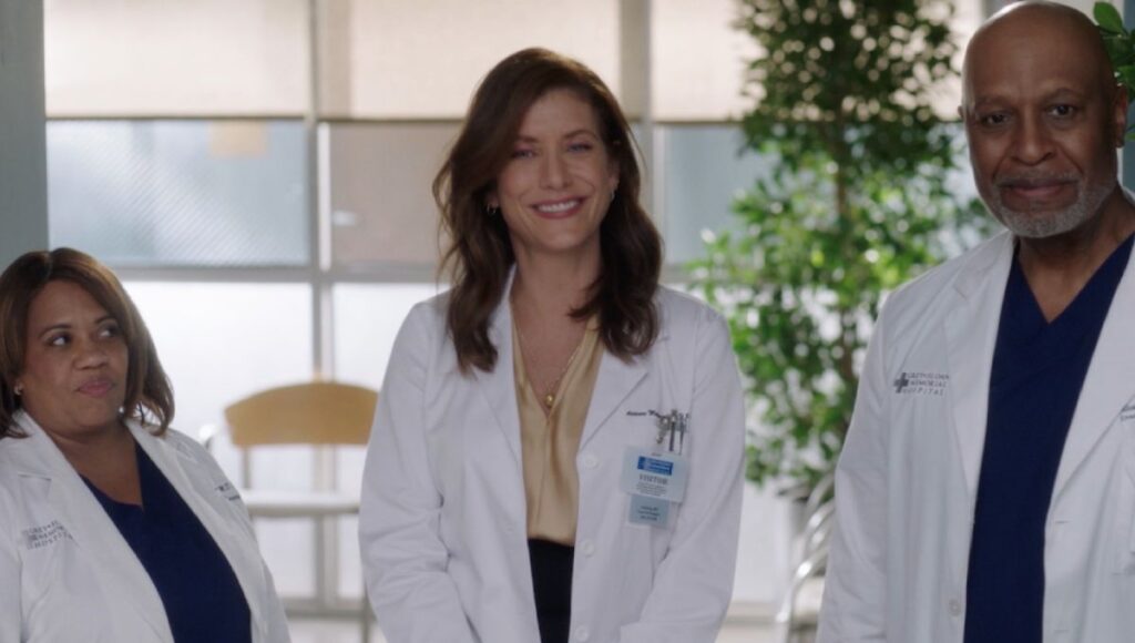 Greys Anatomy Addison