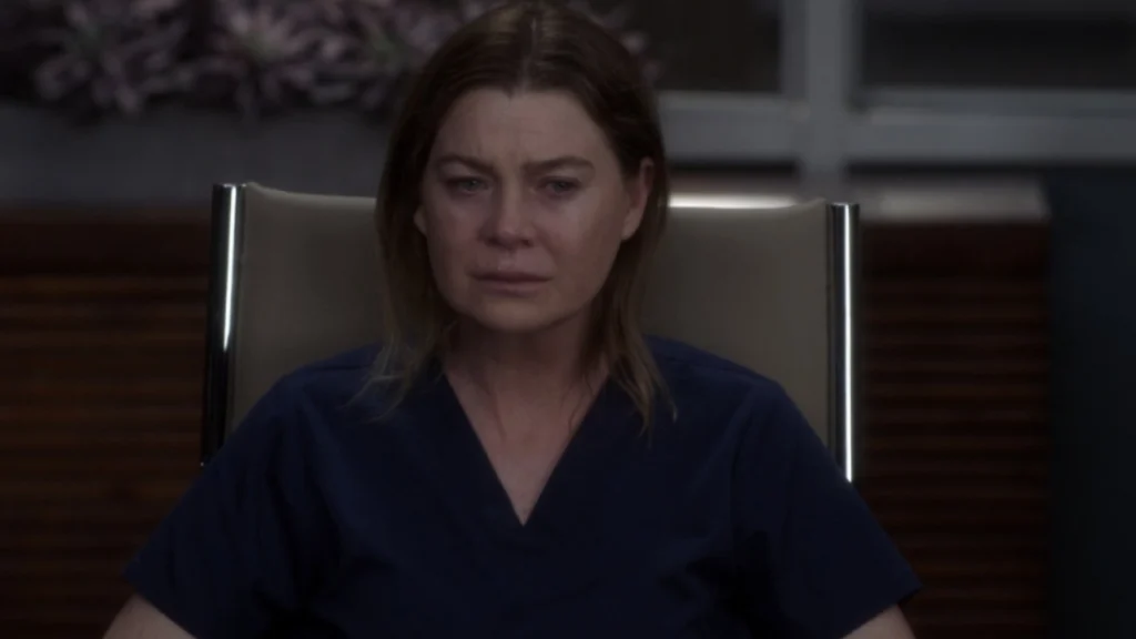 Greys Anatomy final Meredith