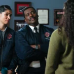 Chicago Fire 11x20 cena review