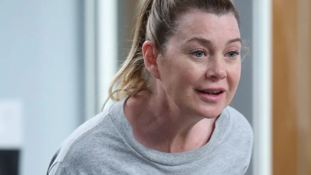 Greys Anatomy volta Meredith