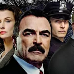 Blue Bloods série 13 temporada