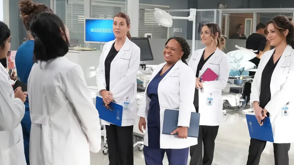 Greys Anatomy final 19 temporada