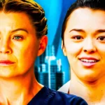 Grey's Anatomy expôs problema