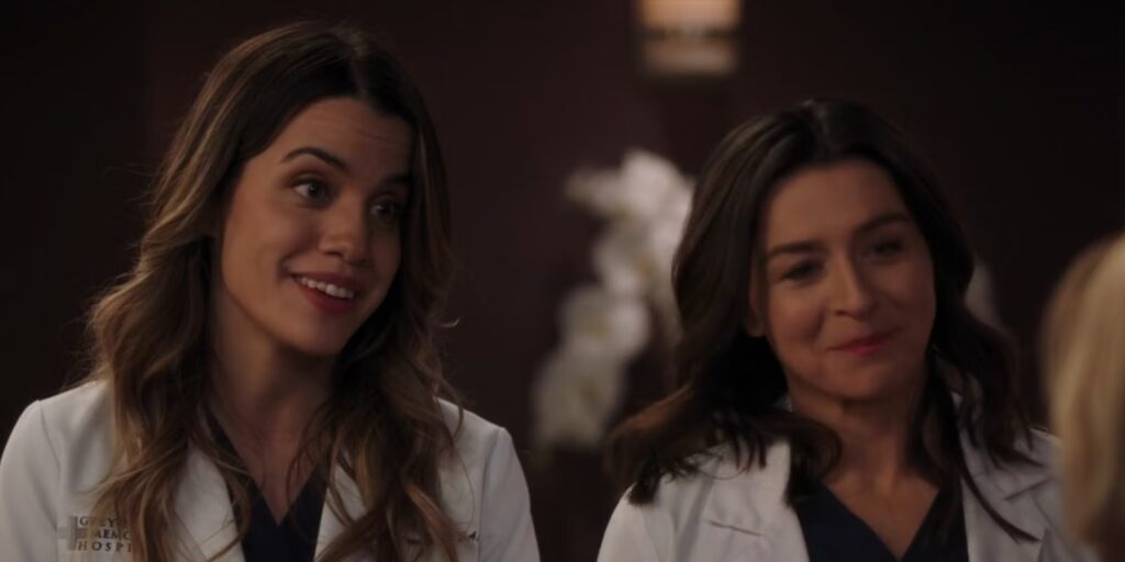 Grey's Anatomy S20EP06 Monica and Amelia