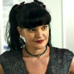 Pauley perrette ncis serie