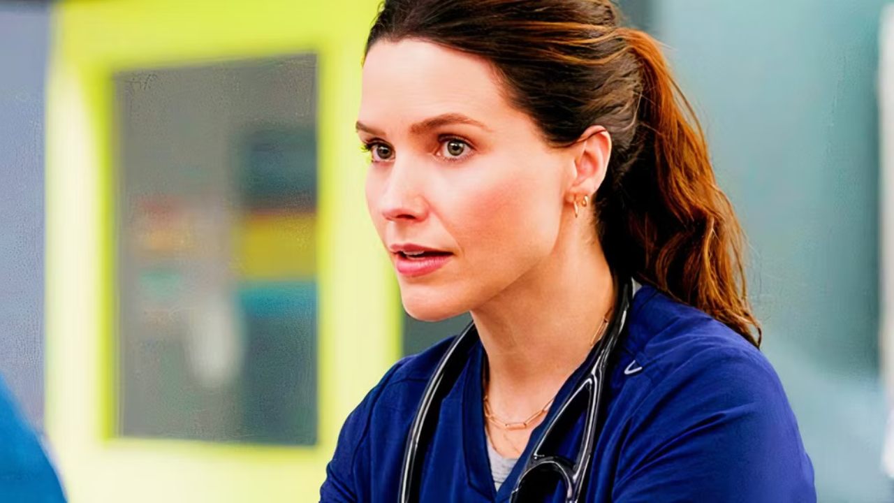 Sophia Bush Greys Anatomy(1)