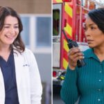 Grey's Anatomy 911 pausa series