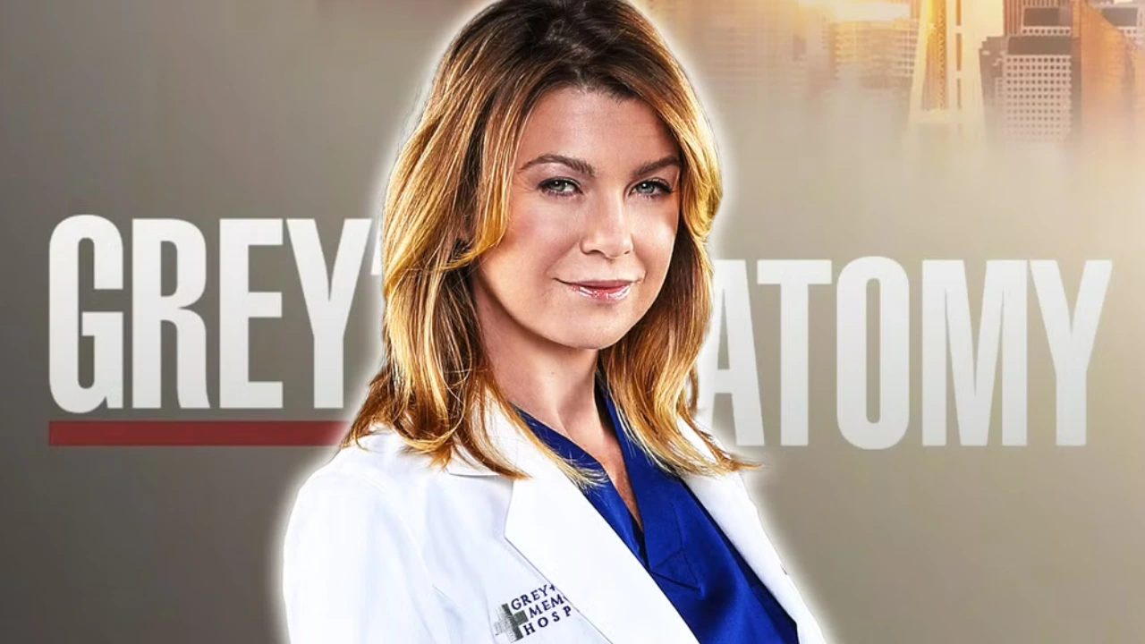 grey's anatomy teoria sinistra