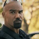 swat 9 temporada serie renovacao